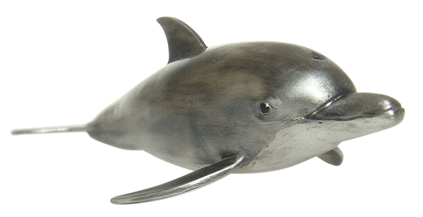 Bottlenose Dilphin