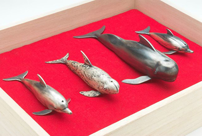 Dolphin Sushi Anyone?